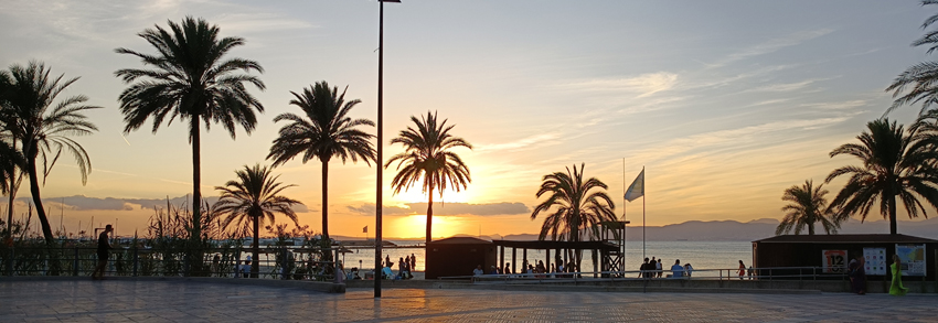 Uitgelichte Foto - Blog Spanje Mallorca 2022