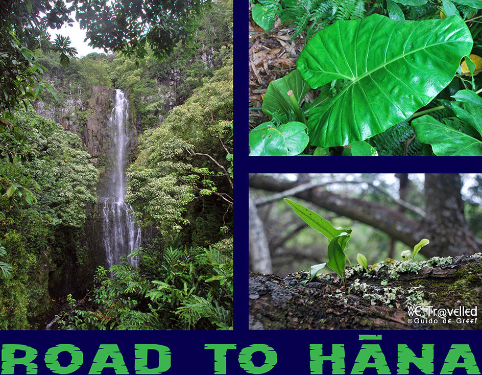 De Road to Hāna op het eiland Maui, Hawaï