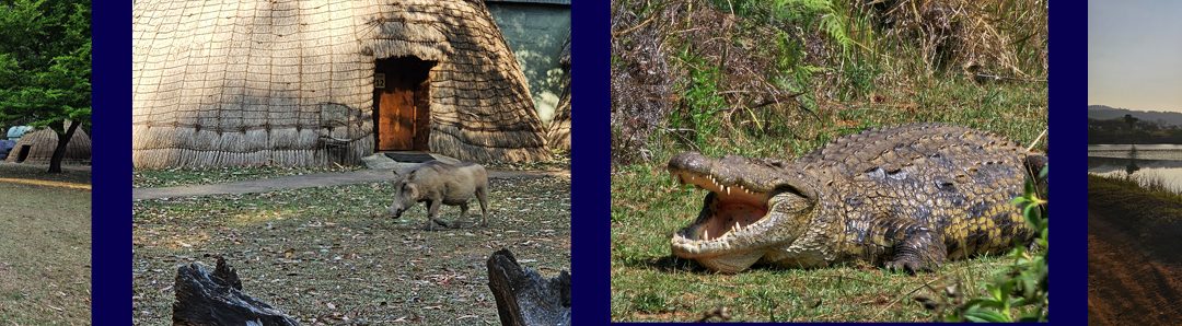 Reislocaties – Mlilwane Wildlife Sanctuary