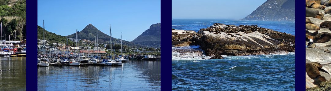 Reislocaties – Zuid-Afrika – Hout Bay Seal Island