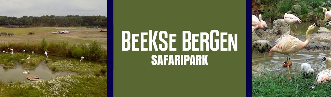 Uitgelichte Foto - Safaripark Beekse Bergen
