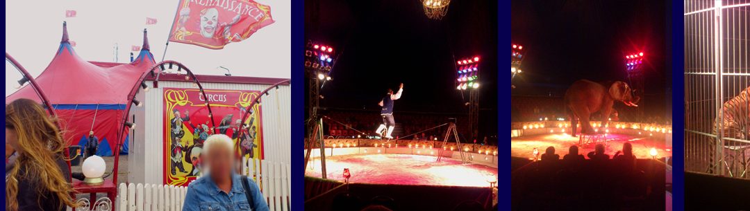 Uitgelichte foto Circus Renaissance