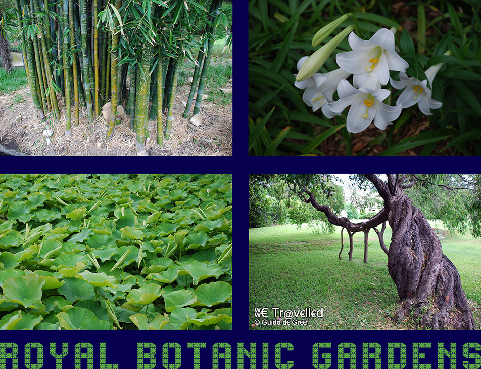 Australië - Sydney - Royal Botanic Gardens